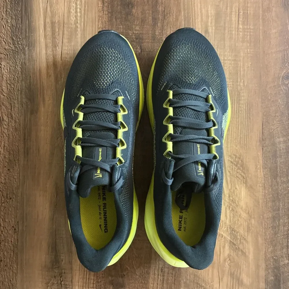 Nike pegasus 41